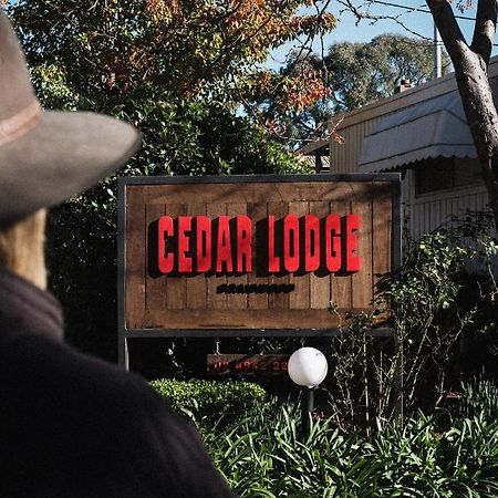 Cedar Lodge Braidwood Экстерьер фото